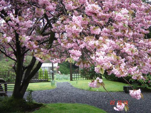 Scafell Hotel Rosthwaite Dış mekan fotoğraf